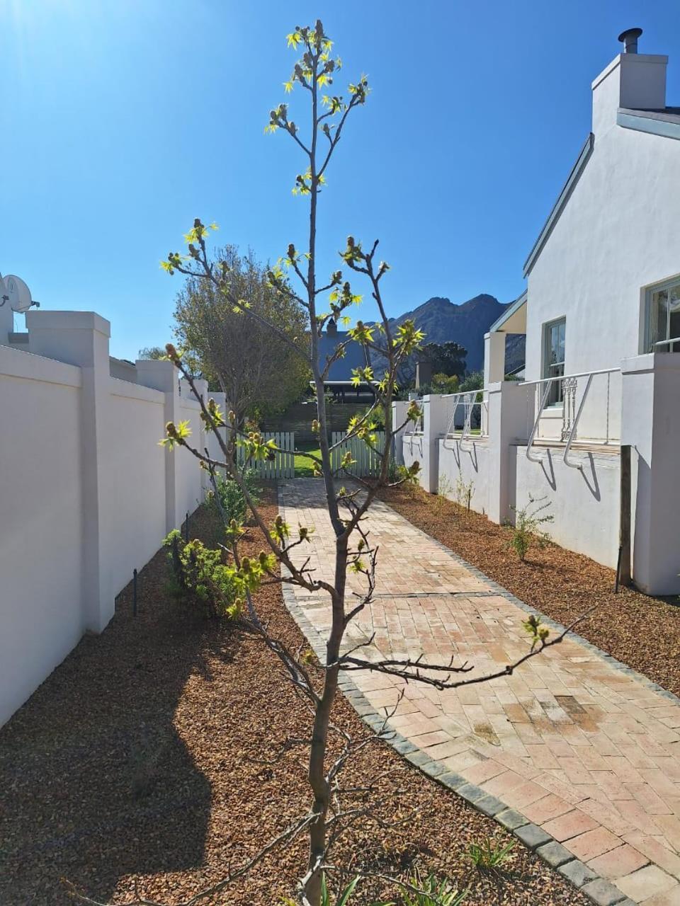 Largest One Bed Apartment & Private Pool In The Hoek Franschhoek Exterior photo