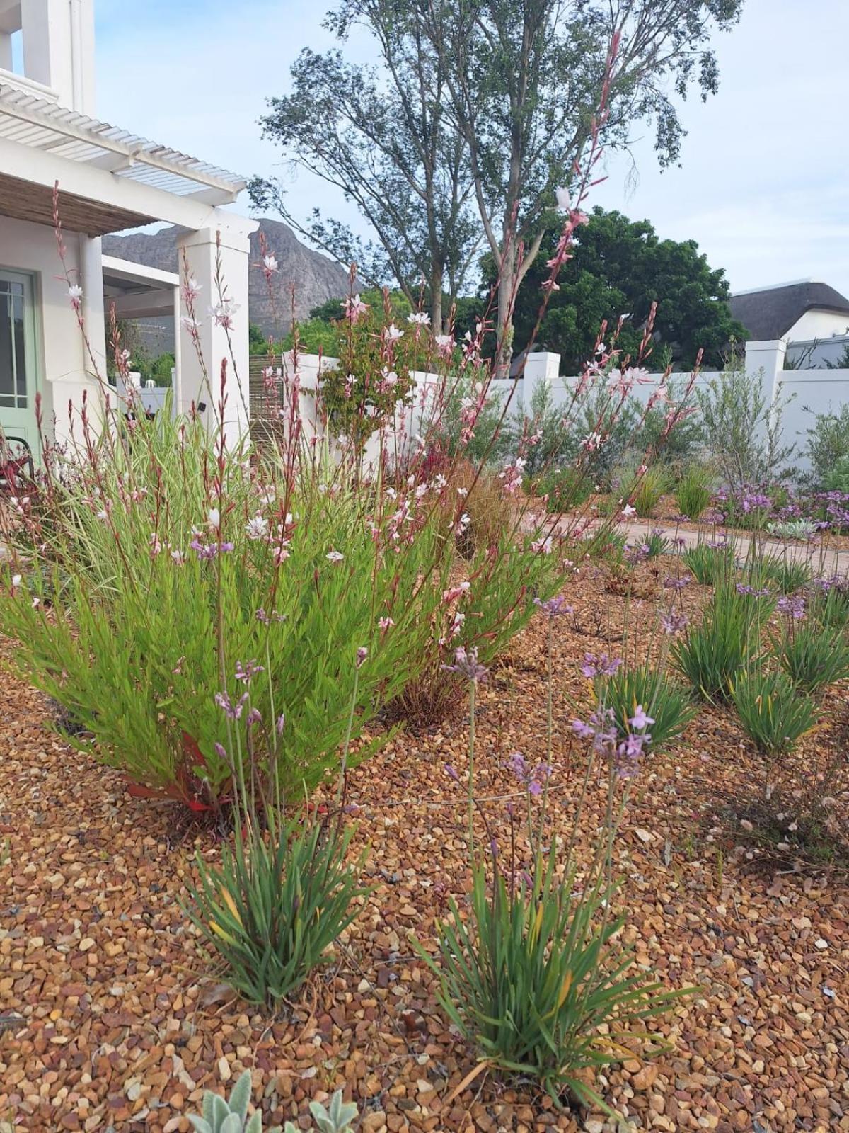 Largest One Bed Apartment & Private Pool In The Hoek Franschhoek Exterior photo